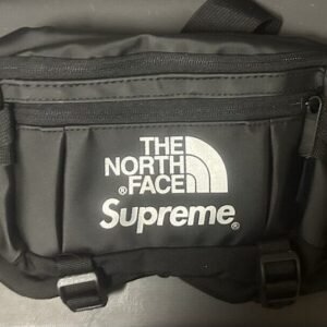 Supreme TNF The North Face Leather Mountain Waist Bag Silver Logo New