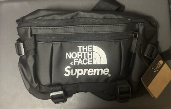 Supreme TNF The North Face Leather Mountain Waist Bag Silver Logo New